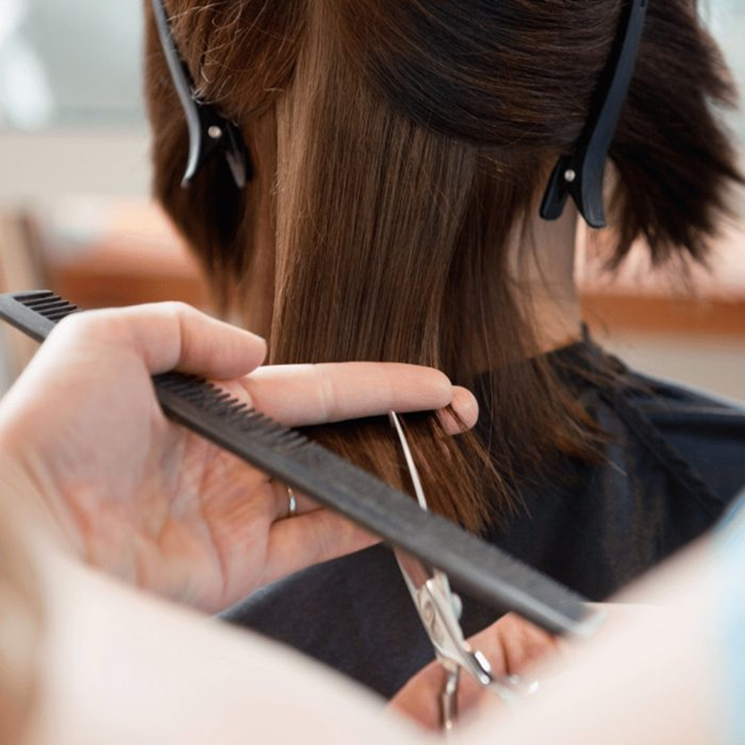 Professzionális fodrász hajvágó oktatások az Alfaparf Milano Akadémián