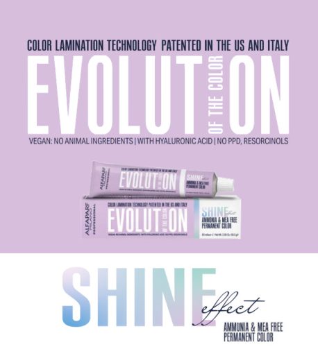 SHINE EFFECT- Evolution of the Color (szombat)